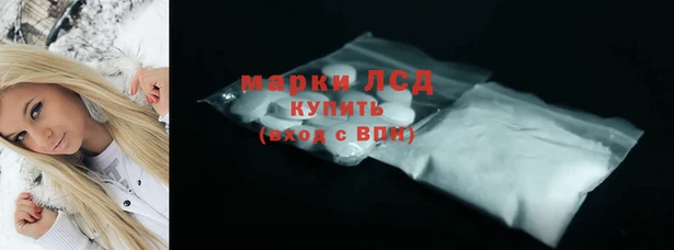 СК Надым
