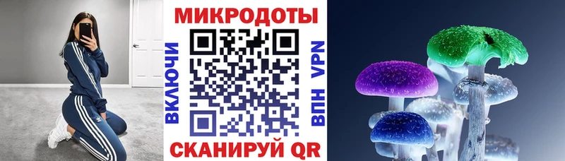 кракен tor  Ильский  Галлюциногенные грибы Psilocybine cubensis 